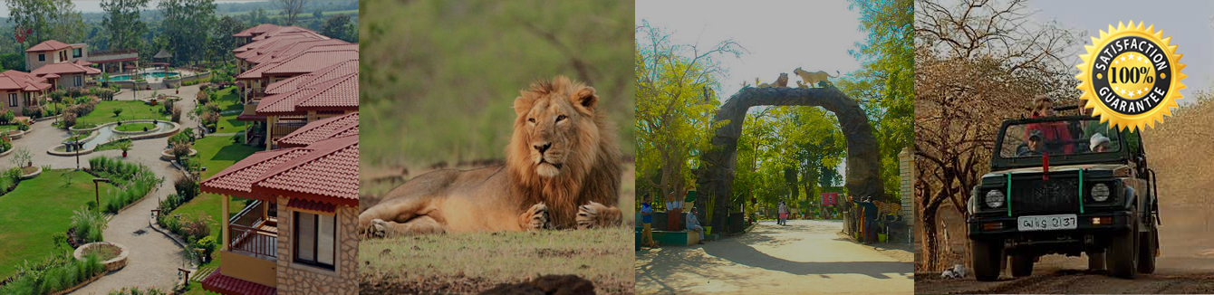 gir forest tour packages